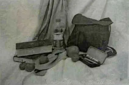 1699696796631835.png 29.png