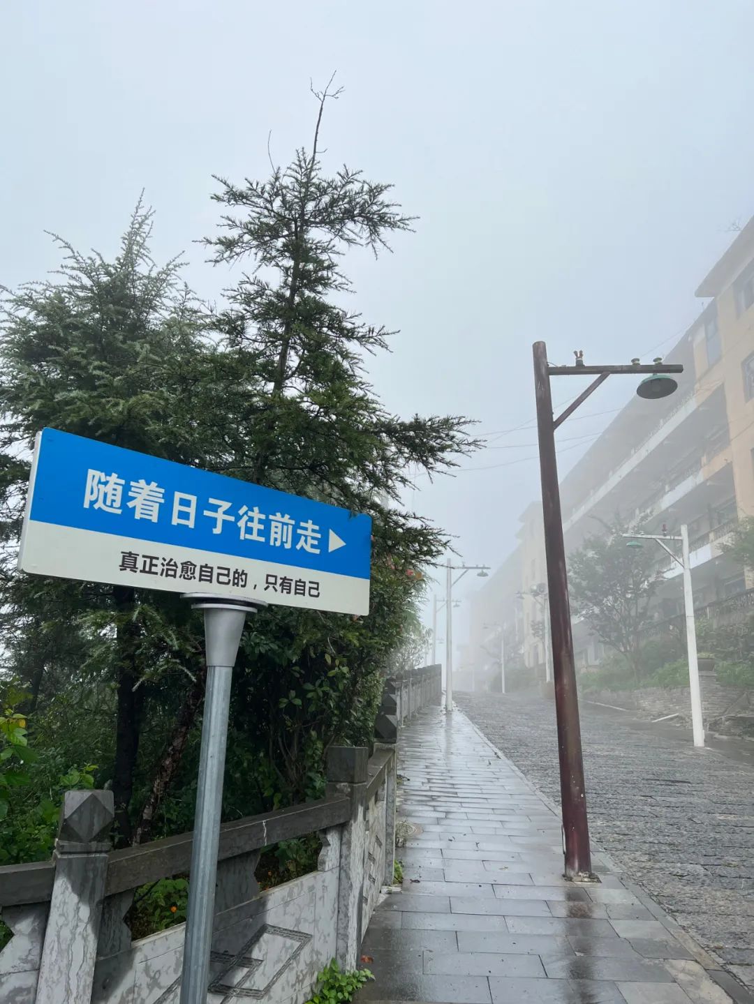 1703563211888907.jpg 20231226_115400_036.jpg